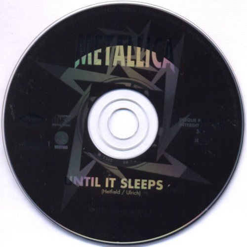 Until It Sleeps